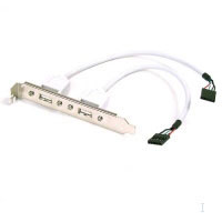 Belkin USB Pro Series Motherboard Cable (CU0100AED)